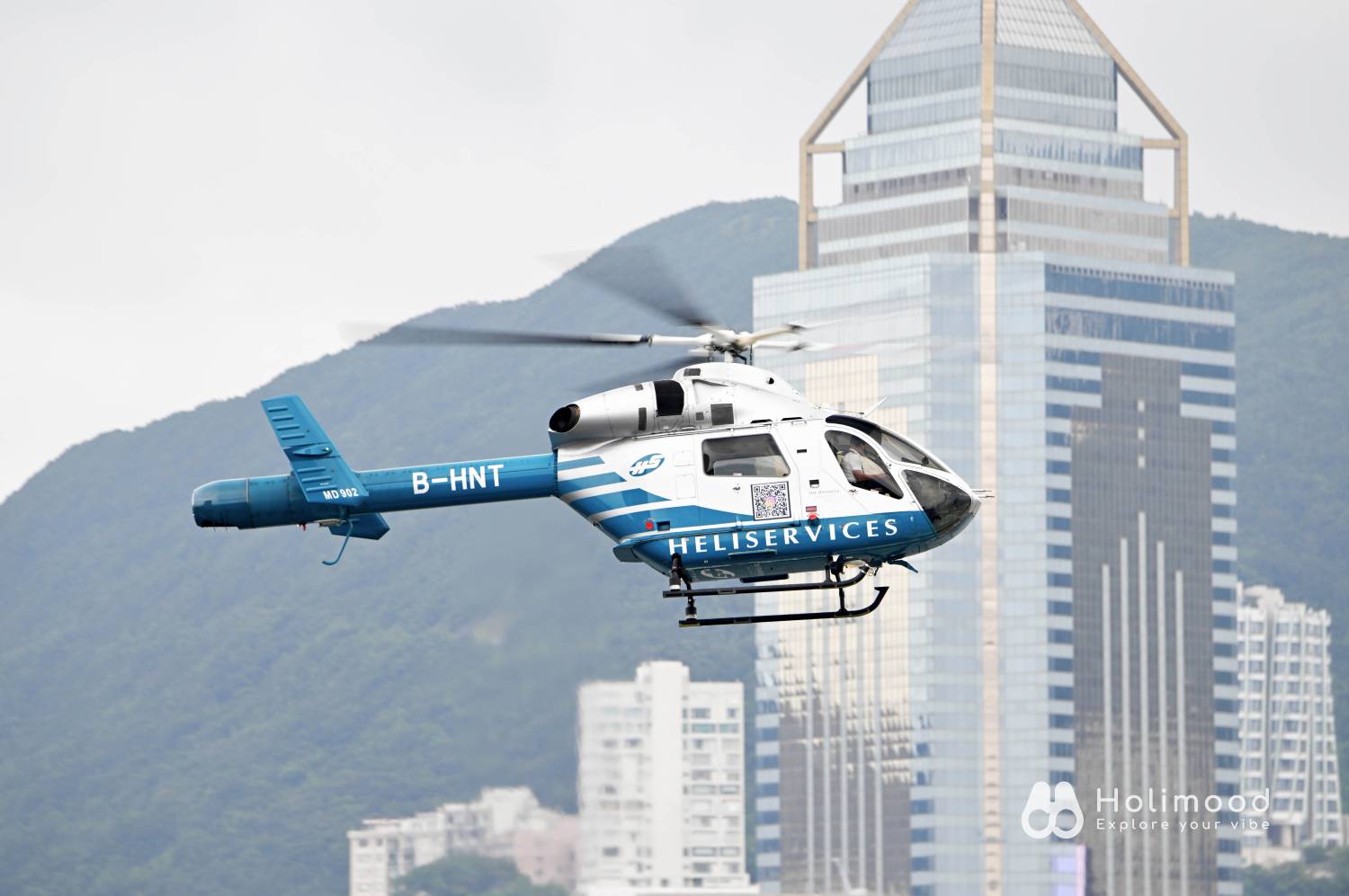 Heliservices HK 【香港世界地質公園/天壇大佛/獅子山】直升機遊覽體驗 2