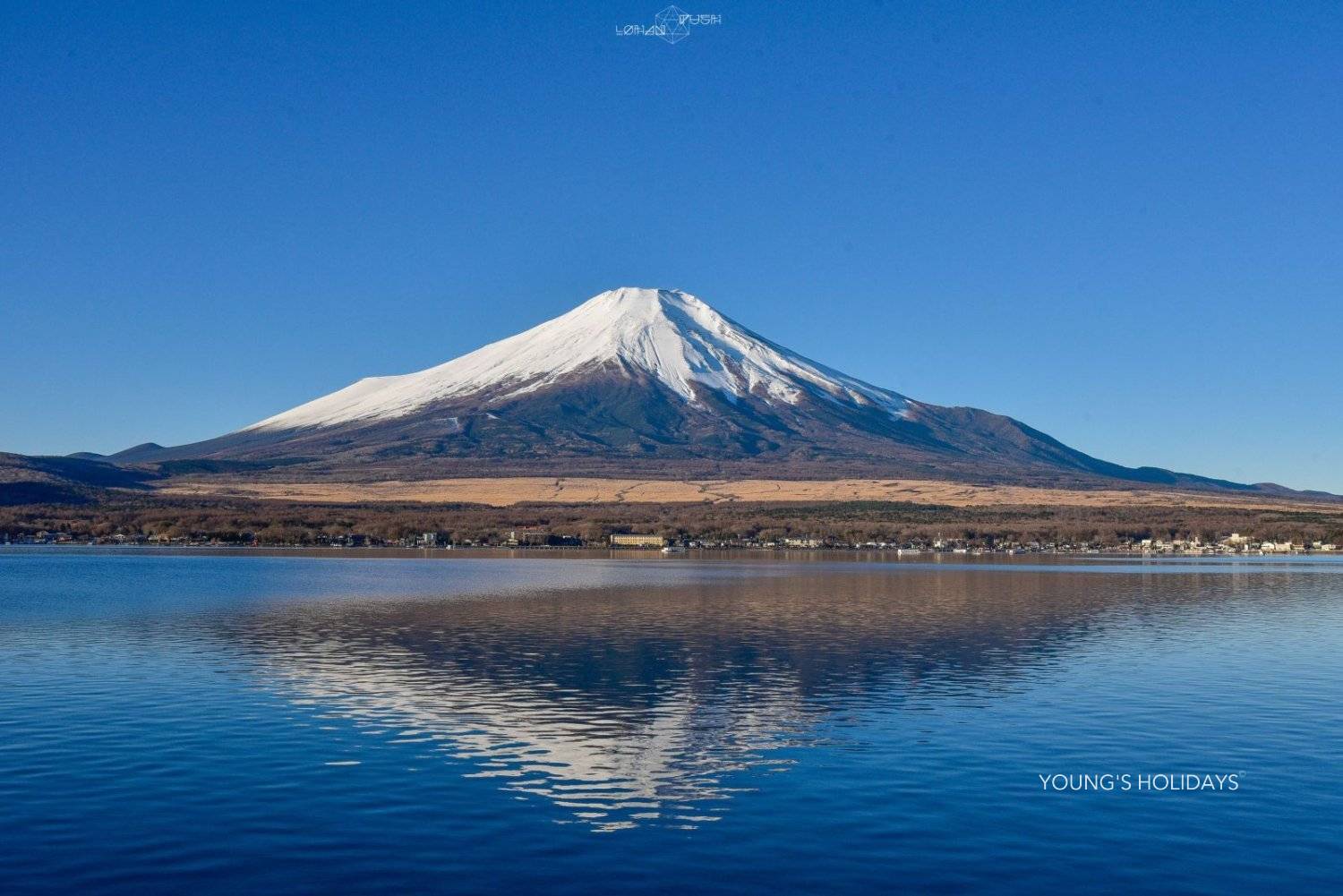 Young's Holidays - Diving Tours, Self-Drive Trips, Japan Campervans 【私人包車】東京10小時市內/富士山/鐮倉/輕井澤/日光客制化行程中文司機包車一日遊(7/10人車) 7