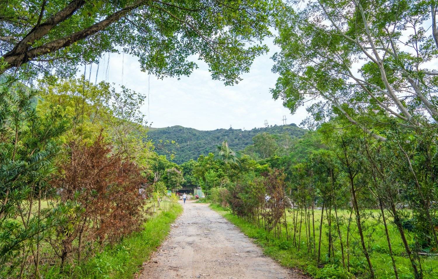 山林里農莊Forest Pathway | 錦田露營·寵物友善營區·巴士露營體驗 【Holimood獨家限量送燒雞】山林里農莊 (自攜營帳/租用營帳) 18