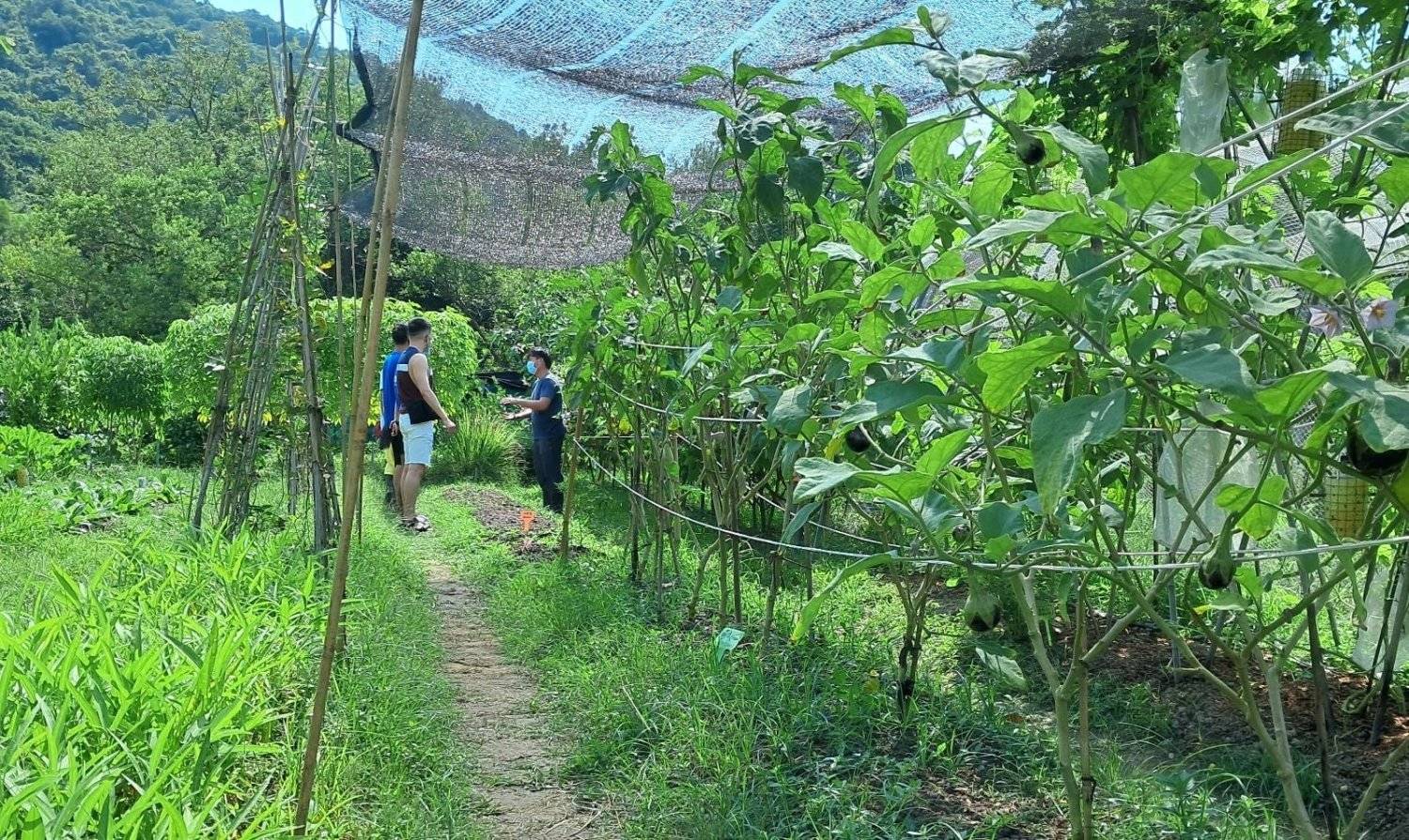 JK Club 貝澳露營車 - 貝澳沙灘旁的豪華露營體驗 【貝澳】602 (6人) - 豪華露營車體驗套票 (親親小動物/早、晚餐) 16
