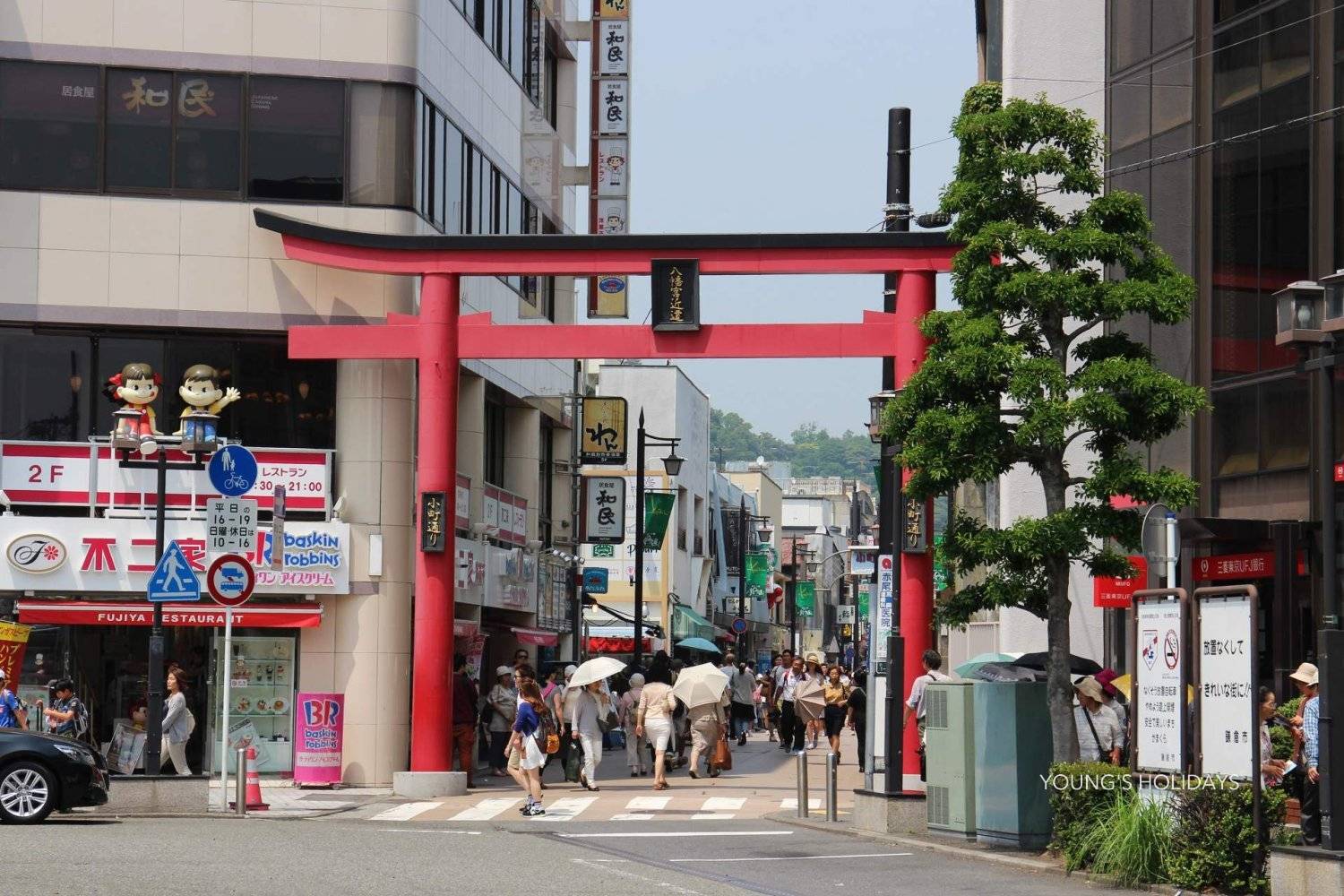 Young's Holidays - Diving Tours, Self-Drive Trips, Japan Campervans 【私人包車】東京10小時市內/富士山/鐮倉/輕井澤/日光客制化行程中文司機包車一日遊(7/10人車) 4