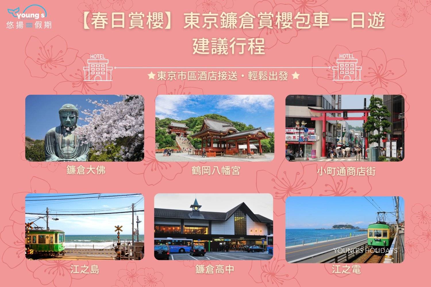 Young's Holidays - Diving Tours, Self-Drive Trips, Japan Campervans 【私人包車】東京10小時市內/富士山/鐮倉/輕井澤/日光客制化行程中文司機包車一日遊(7/10人車) 13