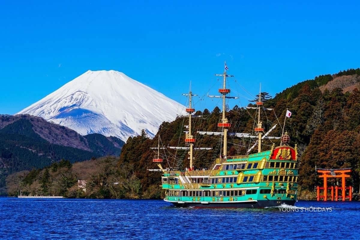 Young's Holidays - Diving Tours, Self-Drive Trips, Japan Campervans 【私人包車】東京10小時市內/富士山/鐮倉/輕井澤/日光客制化行程中文司機包車一日遊(7/10人車) 10