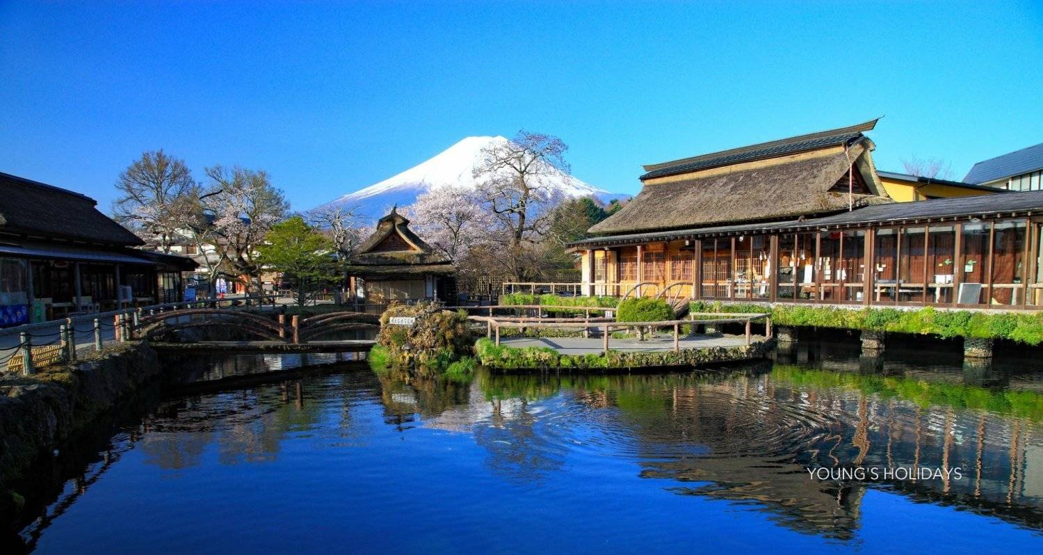 Young's Holidays - Diving Tours, Self-Drive Trips, Japan Campervans 【私人包車】東京10小時市內/富士山/鐮倉/輕井澤/日光客制化行程中文司機包車一日遊(7/10人車) 8