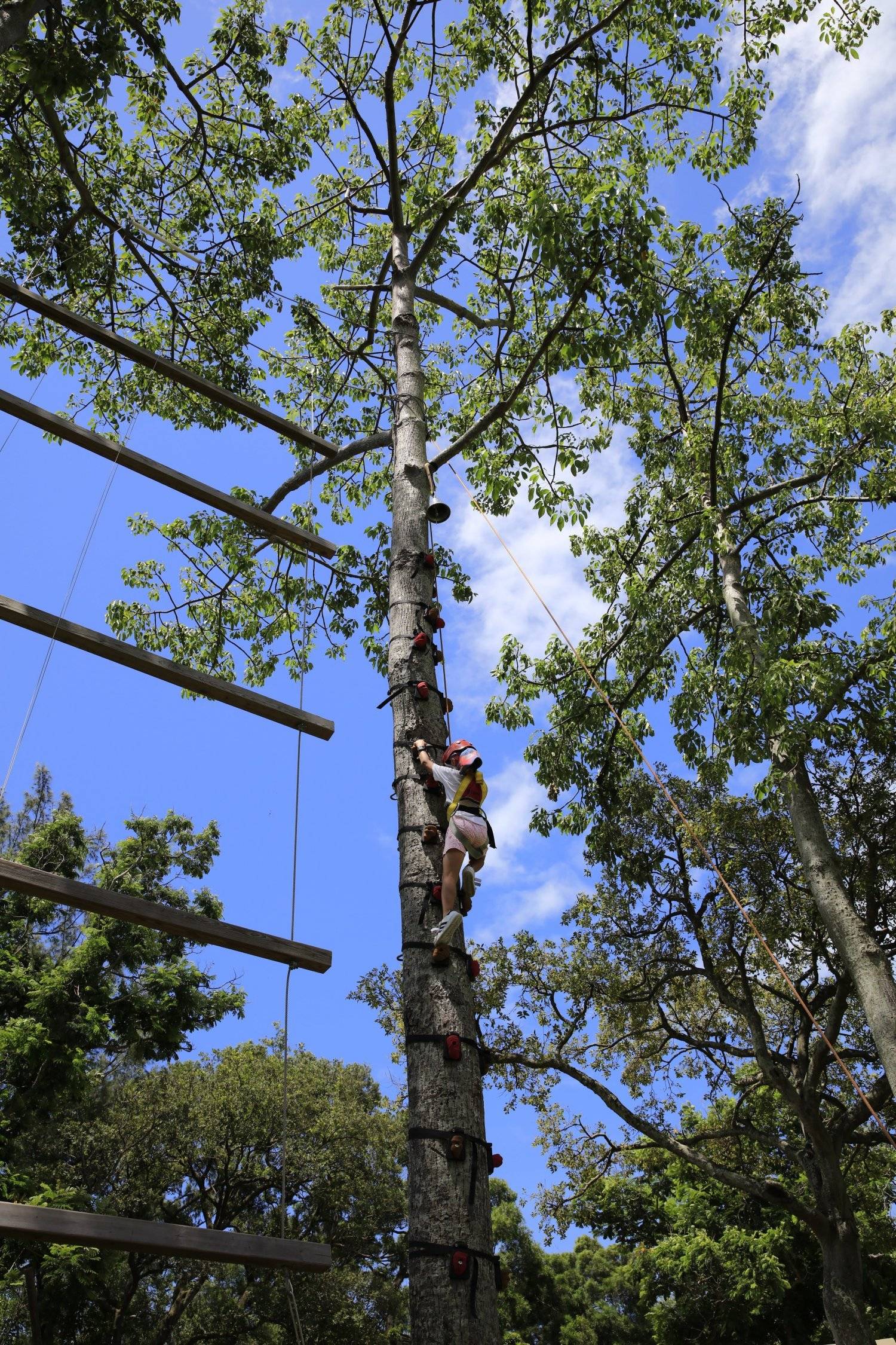 長洲西園露營歷奇園地 - 四大主題營區、豪華露營體驗、專業歷奇活動 【私人草地平台】「星海之森 」觀星營(4人)|長洲西園 25