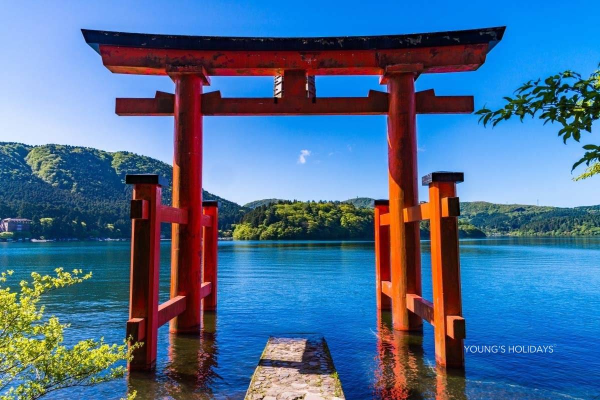 Young's Holidays - Diving Tours, Self-Drive Trips, Japan Campervans 【私人包車】東京10小時市內/富士山/鐮倉/輕井澤/日光客制化行程中文司機包車一日遊(7/10人車) 9